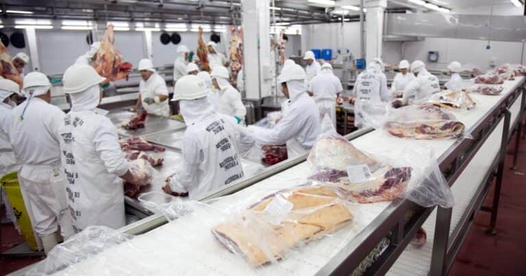 La Unión Europea frena importaciones de carne desde Brasil: qué impacto puede tener para el producto argentino