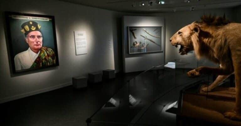 Desde leones disecados hasta retratos: los objetos más curiosos del museo de François Mitterrand