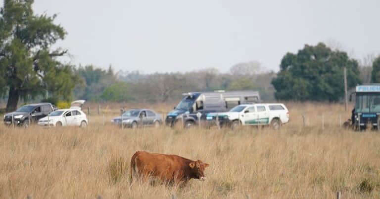Caso Loan: la conclusión que arrojó la inspección ocular de seis horas que hicieron en el campo donde desapareció el nene
