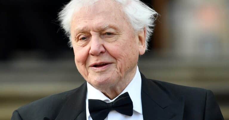 David Attenborough cumplió 100 años: los homenajes del rey Carlos III, Beckham y otras personalidades