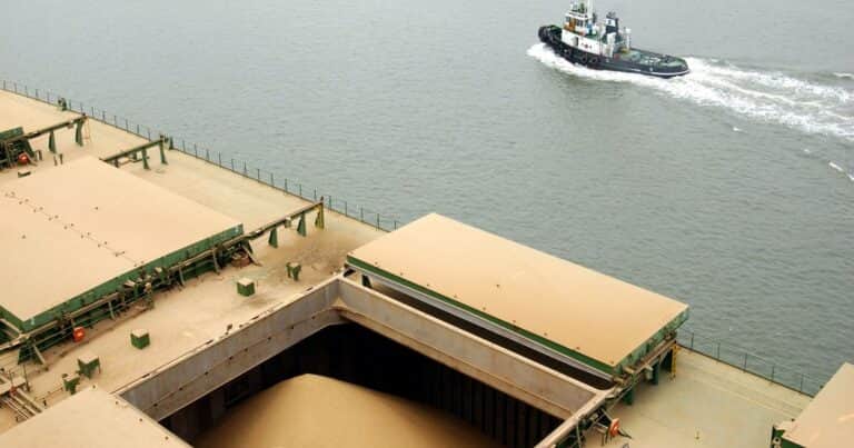 De la mano de una mayor cosecha de soja y maíz, el ingreso de divisas por parte del agro superaría US$ 36.000 millones este año