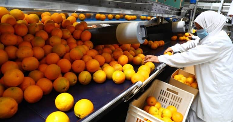 Preocupación en Europa: un informe revela cuáles son las frutas más contaminadas con pesticidas