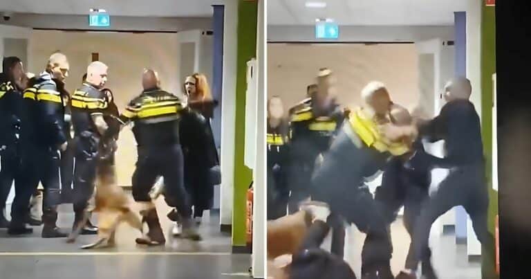 El video que causa indignación en Países Bajos: un policía tira al suelo a una mujer que, según medios locales, estaría embarazada