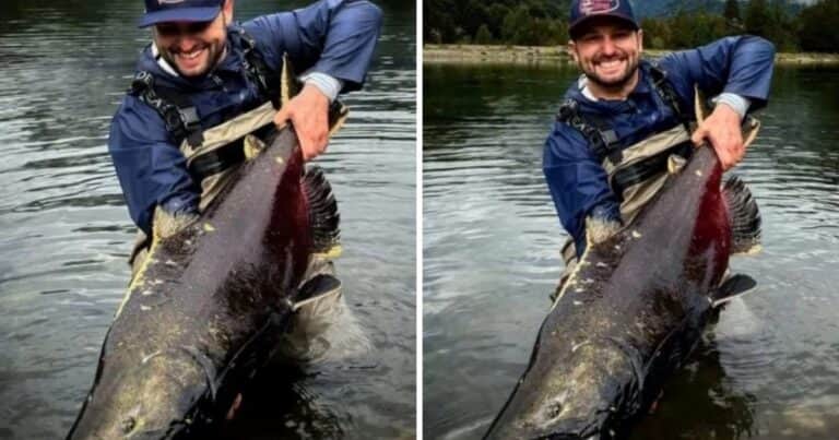 El impresionante salmón de más de 20 kilos que un pescador capturó tras recorrer 3.000 kilómetros