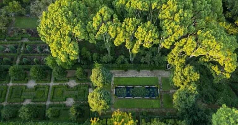 El parque escondido que tiene un laberinto de rosas único: por qué sorprende a quienes lo visitan
