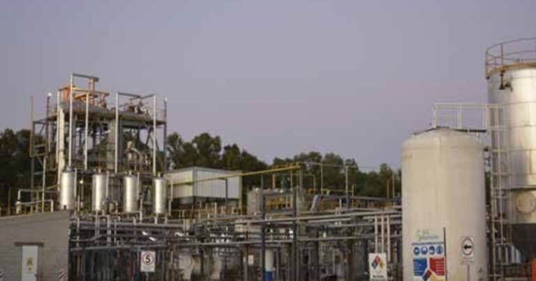 El oficialismo envió al Senado una nueva ley de biocombustibles: aumento del corte con naftas y gasoil y autorización para los motores “flex fuel”