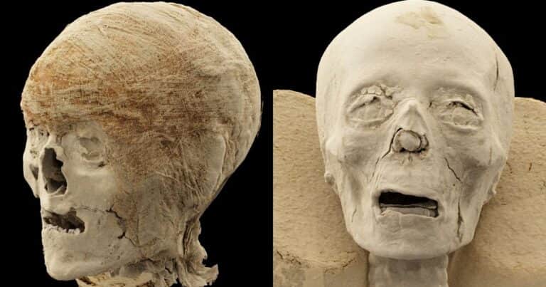 Escanearon momias egipcias de más de 2.300 años y encontraron un secreto que no se podía ver