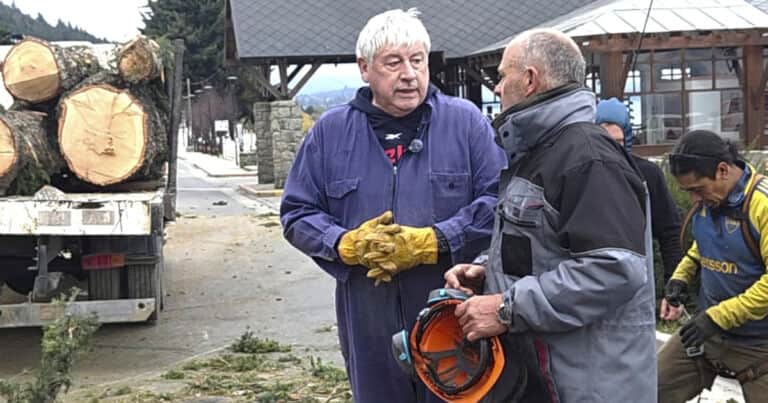 El intendente de Bariloche agarró una motosierra y cortó los históricos pinos de la Costanera: «Tenemos que mostrar nuestro lago»