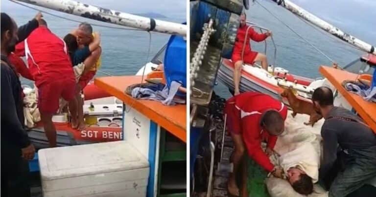 Una mujer desapareció tras un paseo en moto acuática y fue encontrada con vida en el mar tres días después