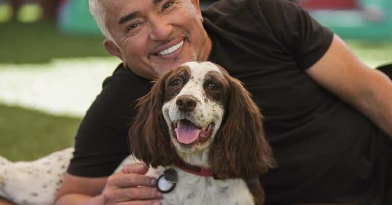 César Millán, entrenador canino, sobre los perros: “Es la habilidad que ninguna otra especie tiene”