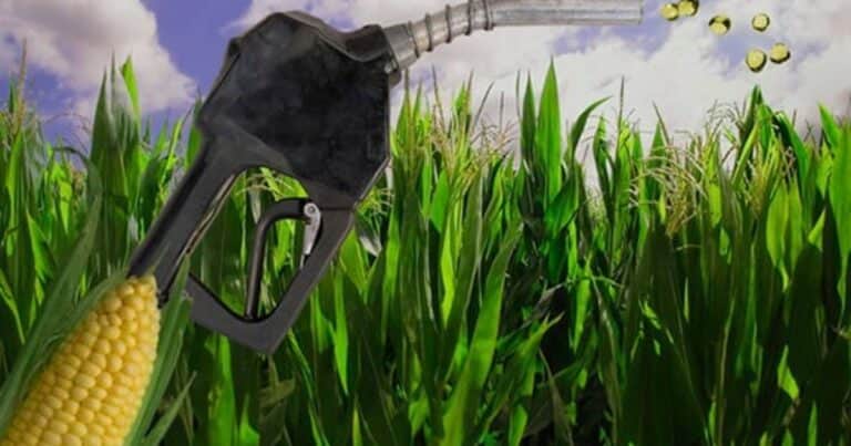 “Un paso importante”: la industria del bioetanol apoyó el proyecto de una nueva ley de biocombustibles presentado por Bullrich