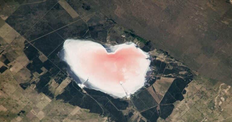 El “corazón” rosa que la NASA vio desde el espacio en Argentina y que no es lo que parece