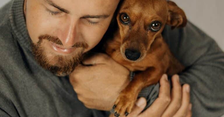Un estudio confirma que el deseo de tener perro vendría determinado por nuestros genes