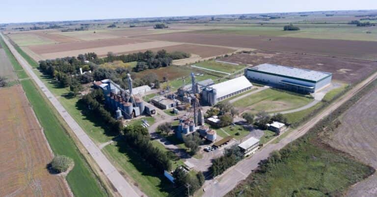 Del campo argentino al mundo: una de las principales cooperativas agrícolas del país consolida su liderazgo global en el mercado de legumbres