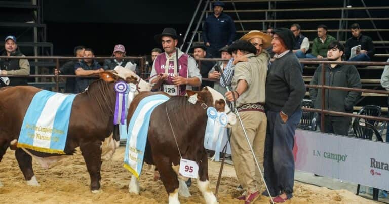Los terneros Braford mostraron el gran presente de la raza