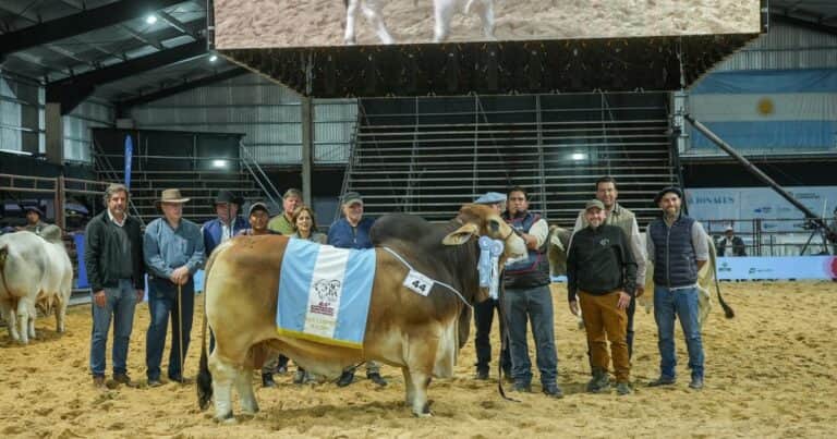 Desde Formosa llegaron los mejores ejemplares de Brahman