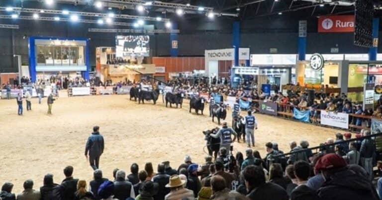 La Expo Angus de Otoño 2026 ya palpita una semana a pura genética, negocios y remates en Palermo.