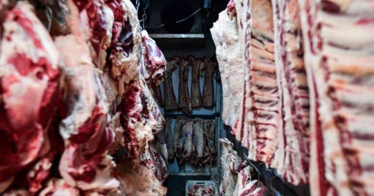 Brasil, el líder indiscutido del mercado mundial de carne vacuna