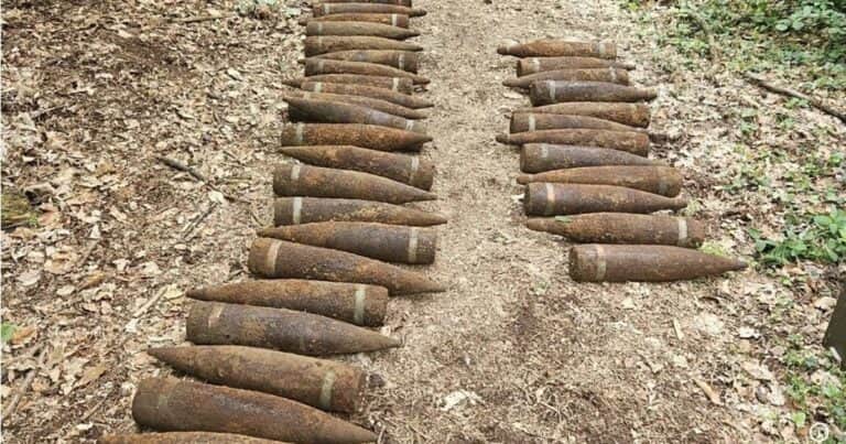 Encontraron en un bosque de Berlín 59 proyectiles de la Segunda Guerra Mundial