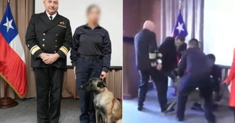 Insólito momento en una ceremonia naval en Chile: un perro antidrogas se abalanzó sobre el bolsillo de un vicealmirante