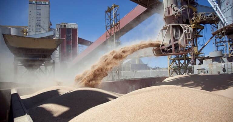 «Un paso muy grande para la industria nacional»: revelan que la proteína de soja argentina tiene el mejor perfil del mercado