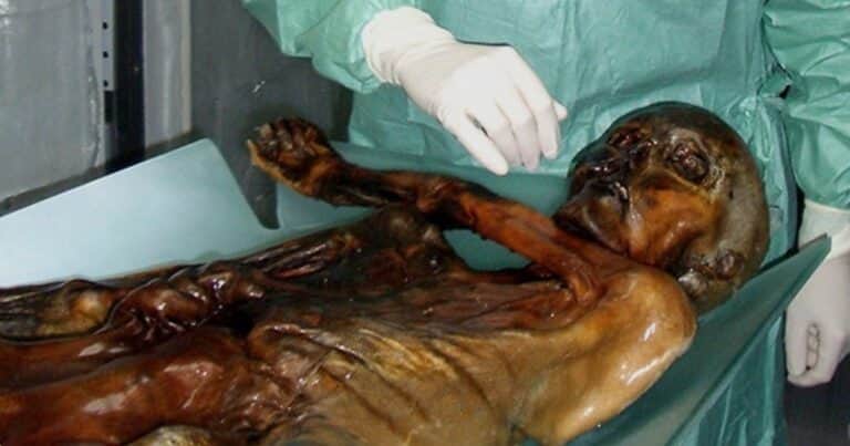 Encuentran indicios de vida en Ötzi, el hombre de las nieves