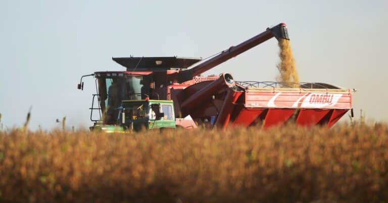 El lado B de una campaña extraordinaria: en Tandil los rindes son bajos, la cosecha se atrasa y se complica el inicio de la fina