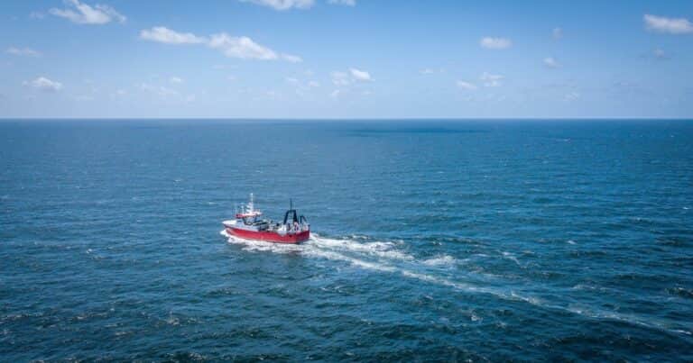 Uno de los mayores fabricantes de electro crece en el negocio de la pesca: compró una empresa para exportar una particular especie