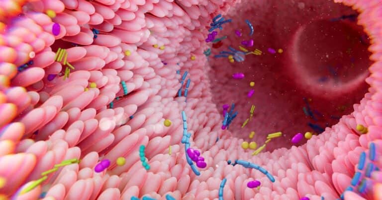 Cómo recuperar la microbiota intestinal después de tomar antibióticos, según expertos en gastroenterología
