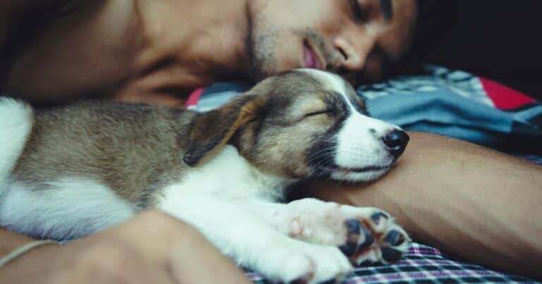 Por qué dormir con tu perro o gato mejora el sueño según la ciencia