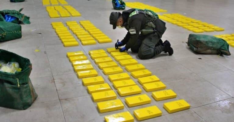 Narcotráfico en Tucumán: secuestran 470 kilos de cocaína en una camioneta: cómo disimulaban la carga