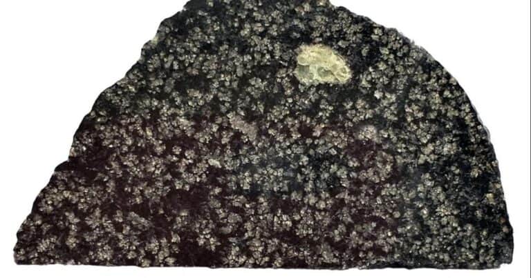 Un meteorito hallado en el Sahara revela que un planeta del tamaño de la Luna existió y desapareció hace 4.500 millones de años