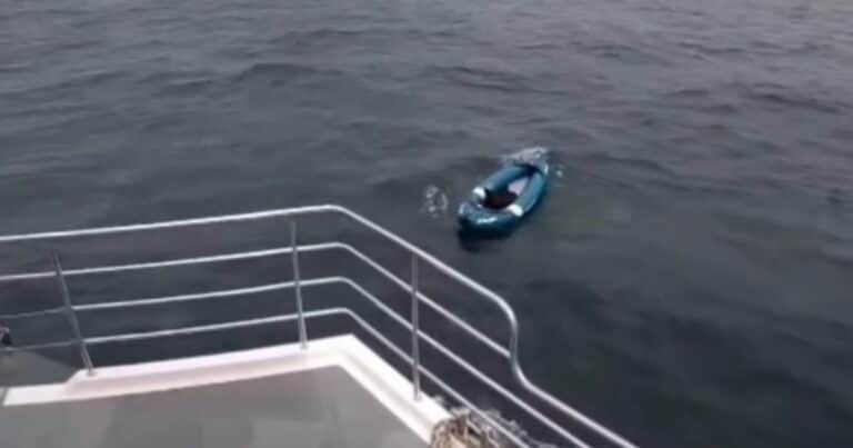 Un perro se alejó a kilómetros de la costa y quedó a la deriva en un kayak inflable: su heroico rescate
