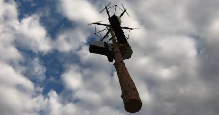 Hito mundial en el sector forestal: un dron taló un árbol y lo retiró del bosque sin daños ambientales ni maquinaria pesada