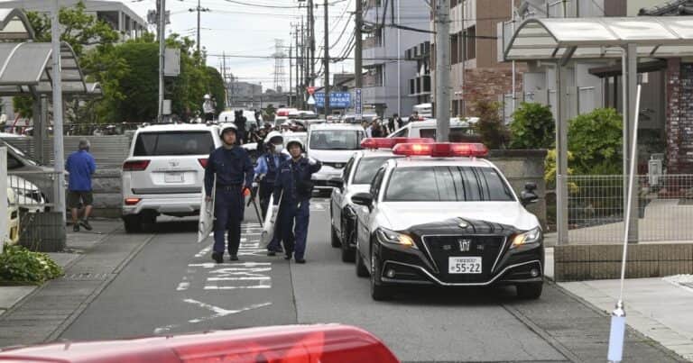 Capturaron al oso que provocó el cierre de casi 100 escuelas en Japón