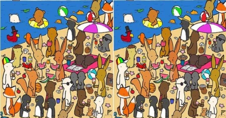 ¿Cuánto tiempo tardás en encontrar las 7 diferencias entre estas dos escenas en la playa?