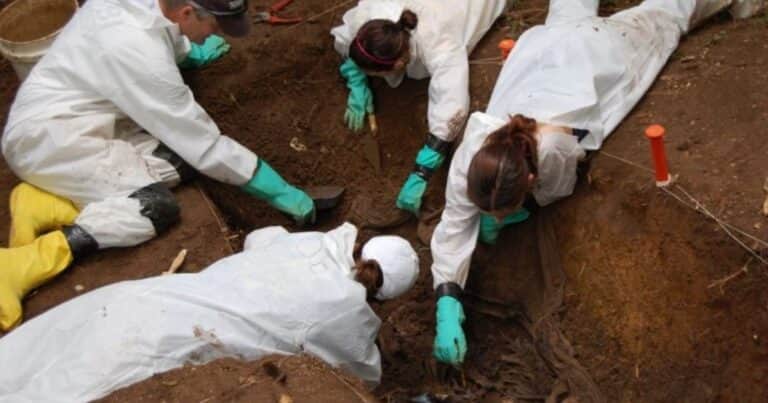 Body farms: las granjas de cadáveres donde se resuelven crímenes y se identifican asesinos