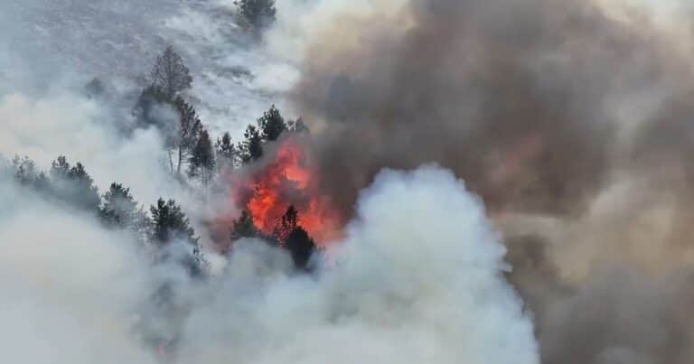 Inglaterra bajo una histórica ola de calor: un incendio forestal arrasó un parque natural