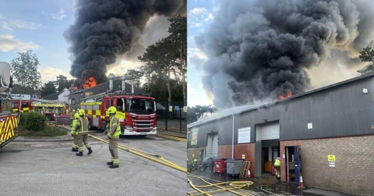 Tragedia en un zoológico infantil de Reino Unido: murieron suricatas, búhos, tortugas y animales exóticos en un incendio