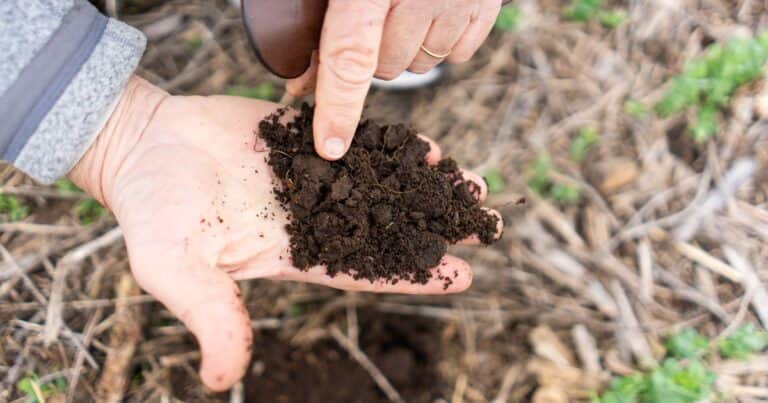 La agricultura moderna, ante una nueva fase de evolución