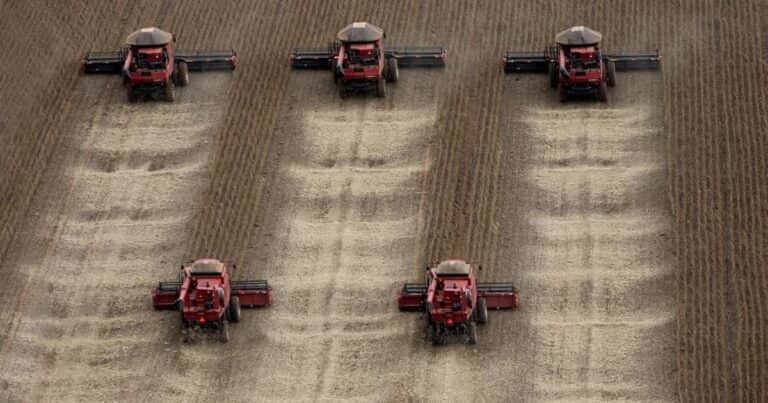 El agro argentino es el gran «gigante dormido» de la economía nacional