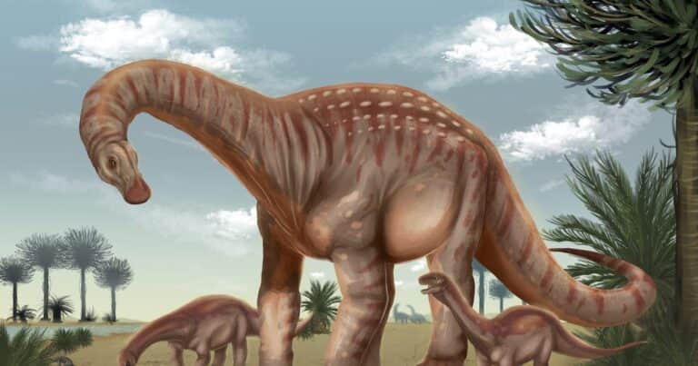 Hallan restos de una nueva especie de dinosaurio gigante, el «Mesetasaurus protector»: el descubrimiento científico en Uruguay
