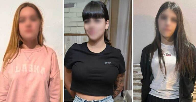 Seducción, emboscada y transferencias: así atacan las tarántulas, las nuevas viudas negras