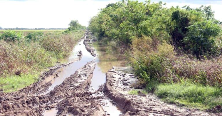 “Deplorable»: exportadores afirman que se pierde el 20% de la producción por caminos en mal estado