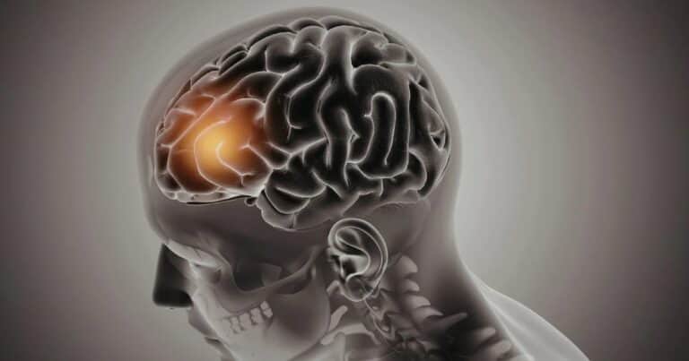 ¿Se pueden recuperar los recuerdos de una persona muerta? La ciencia explora una posibilidad que parecía imposible