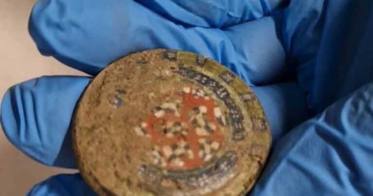 Un hombre encontró artefactos de bronce de la antigua Roma que habían permanecido ocultos durante casi 2000 años: «Este es un hallazgo raro y fascinante»