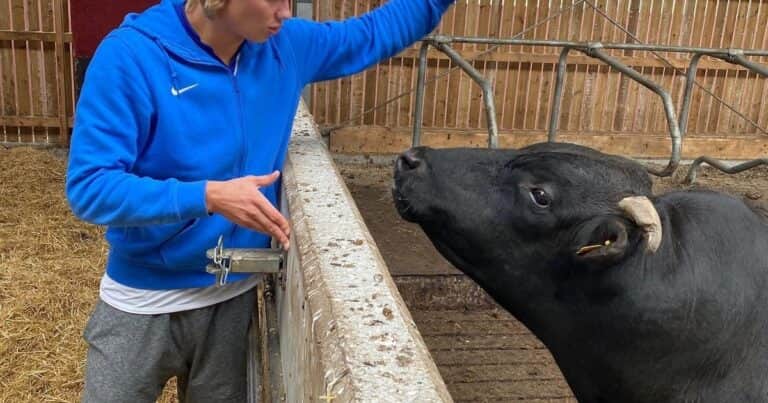 De estrella del mundial a trabajar en el campo: el goleador Haaland sueña con ser agricultor