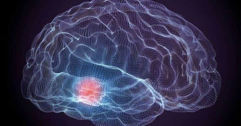 Salud cerebral en el envejecimiento: los niveles de vitamina C están relacionados con el volumen de materia gris