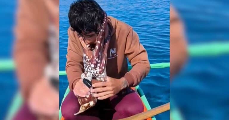 Un influencer pescador se enfrentó a un pulpo que se aferró a su cara: «Entré en pánico, no sabía qué hacer. Cada tirón que le daba, más se apretaba contra mí»