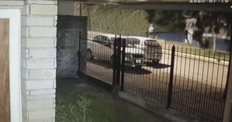 Asaltantes lo emboscaron cuando volvía a su casa y él mató a uno desde el suelo: ya son 5 ladrones abatidos en Provincia en los últimos cuatro días